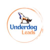 Underdog Leads image 1